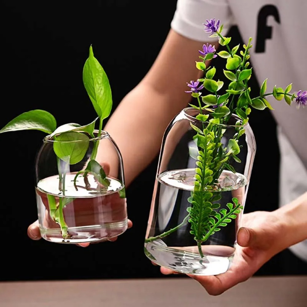 Creative Hydroponic Plant Glas - Propagation Station Vase บทวิจารณ์และราคา