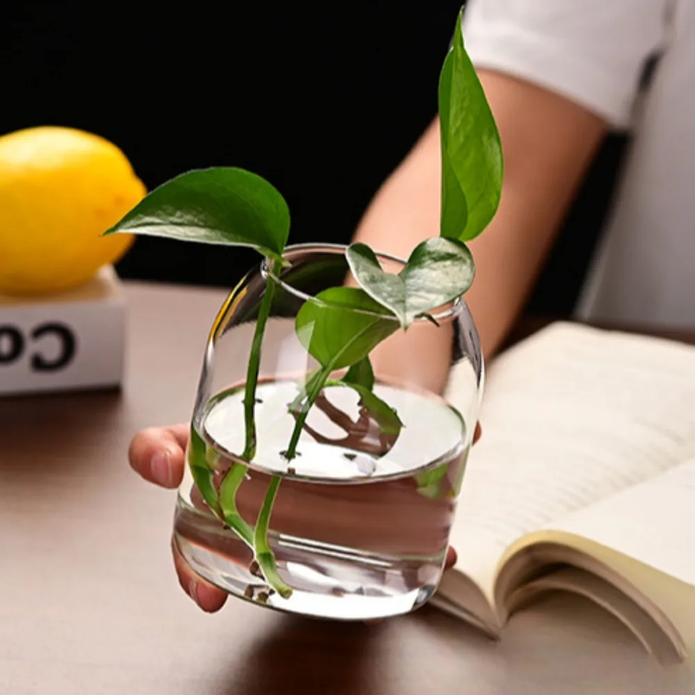 Creative Hydroponic Plant Glas - Propagation Station Vase บทวิจารณ์และราคา