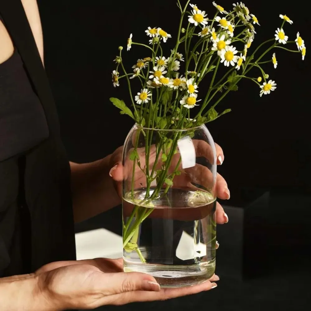 Creative Hydroponic Plant Glas - Propagation Station Vase บทวิจารณ์และราคา