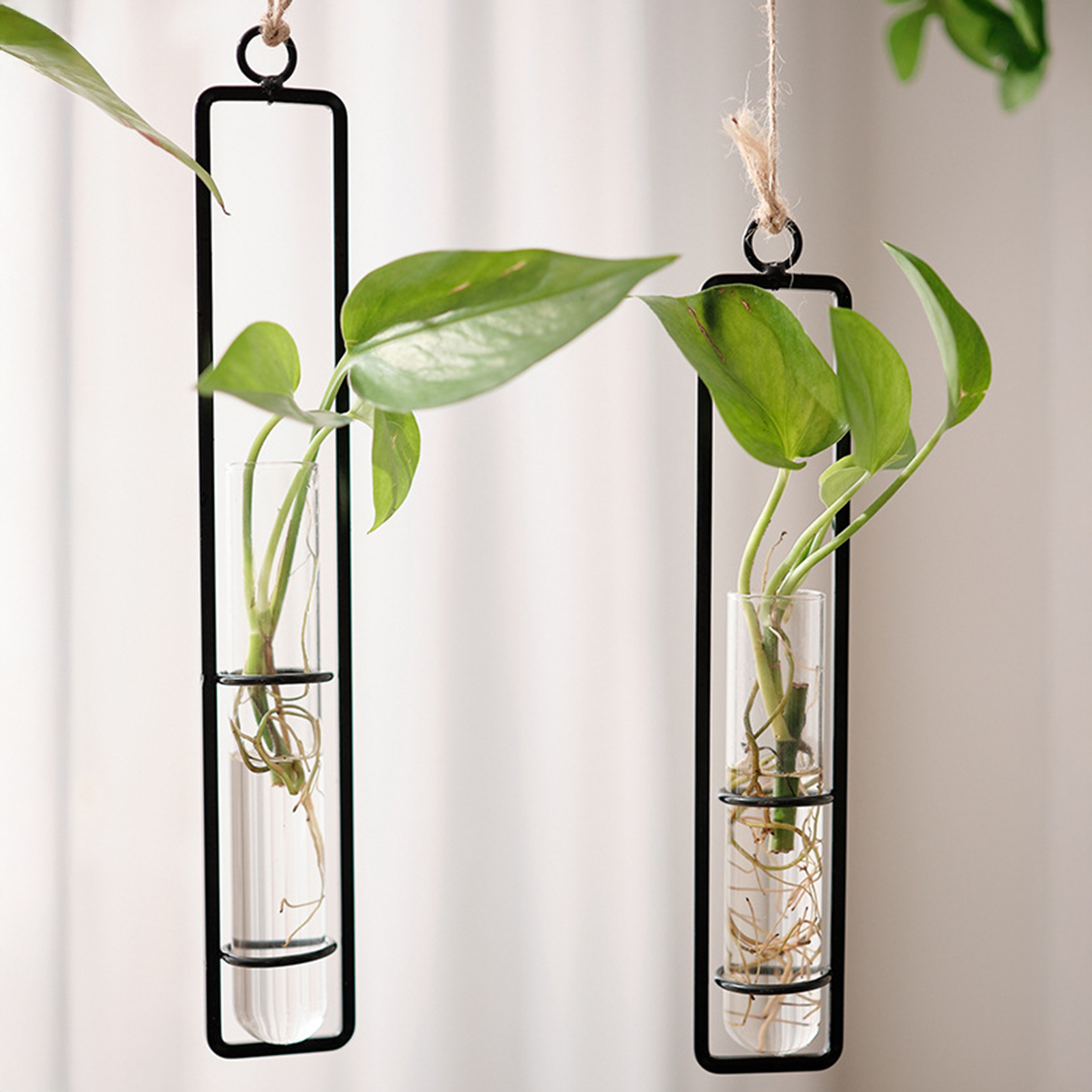 Wall Hanging Glass Vase Europe - Propagation Station Vase บทวิจารณ์และราคา