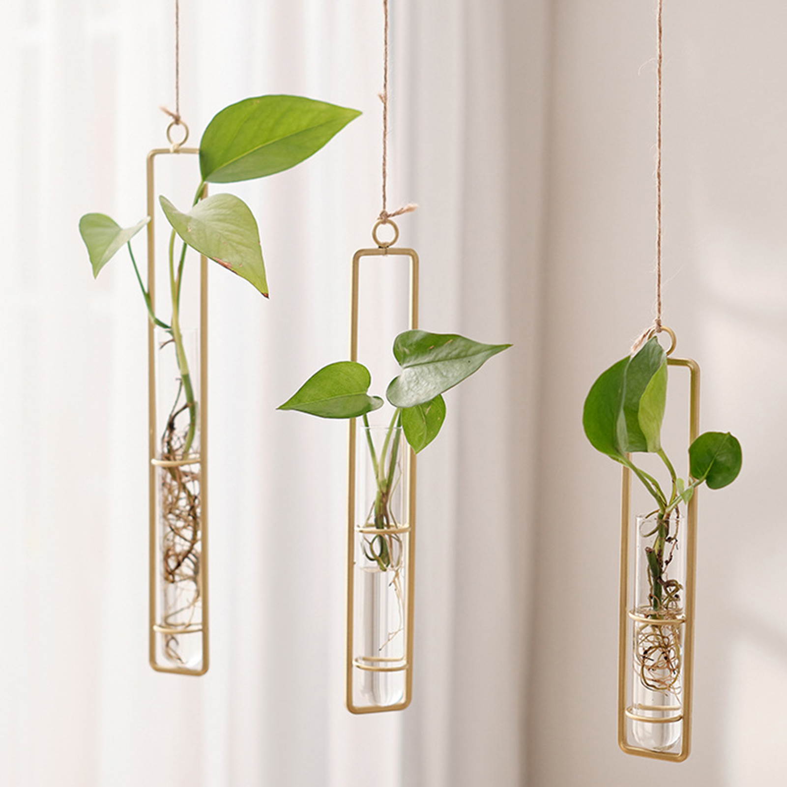 Wall Hanging Glass Vase Europe - Propagation Station Vase บทวิจารณ์และราคา