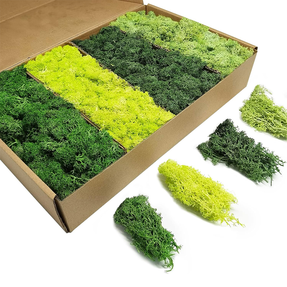 Artificial Green Plants Eterna - Sphagnum Moss Dry บทวิจารณ์และราคา