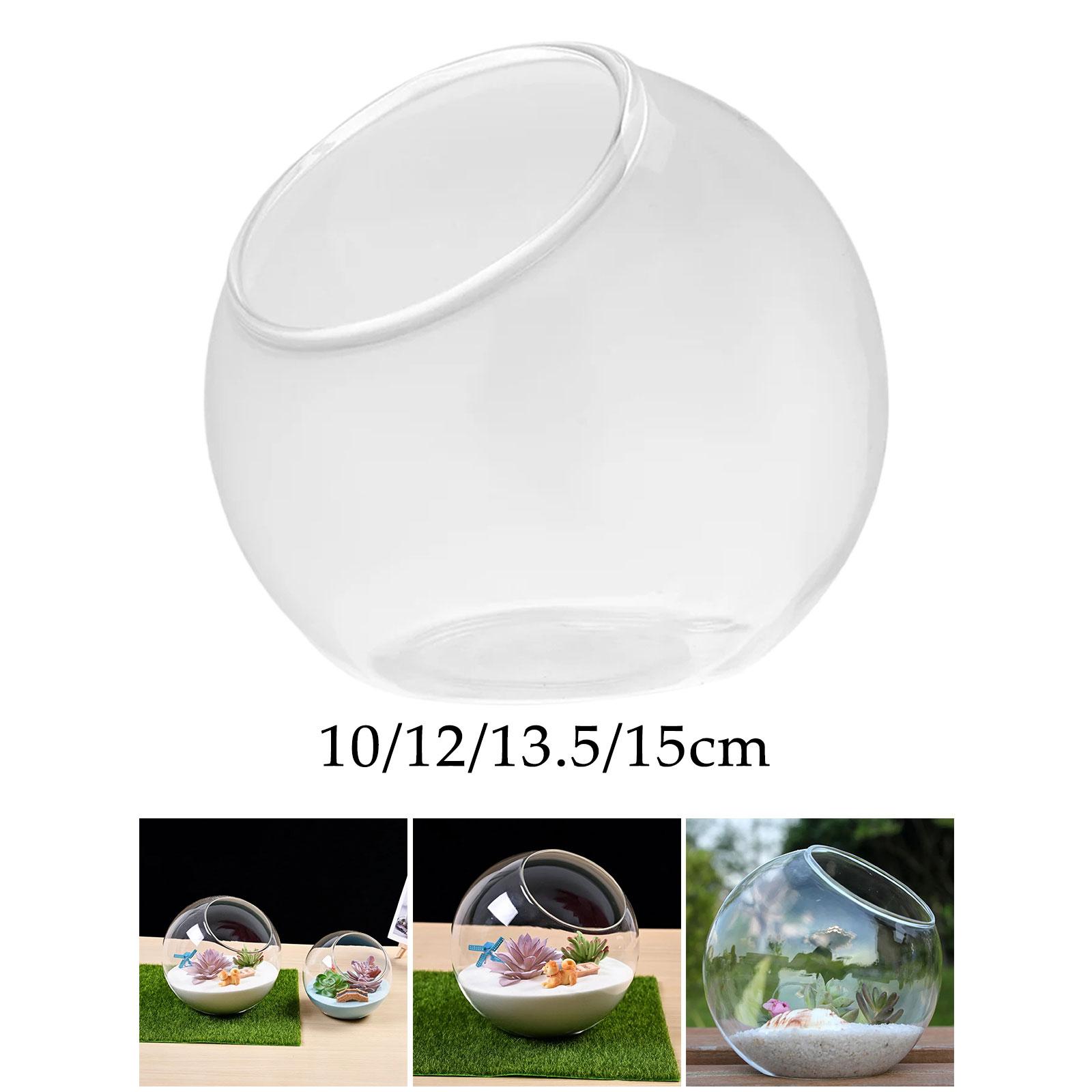 Terrarium Glass Vase Unique Ce - Propagation Station Vase บทวิจารณ์และราคา