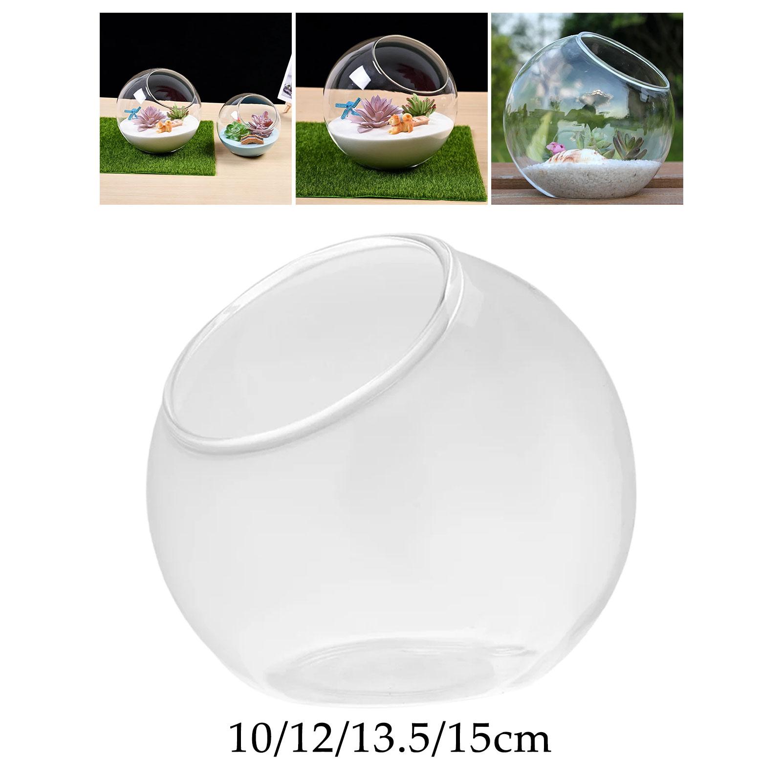 Terrarium Glass Vase Unique Ce - Propagation Station Vase บทวิจารณ์และราคา