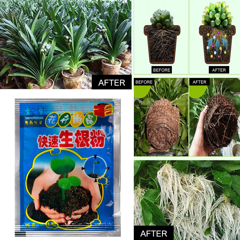 5pcs Fast Rooting Powder Plant - Rooting Hormone Powder บทวิจารณ์และราคา