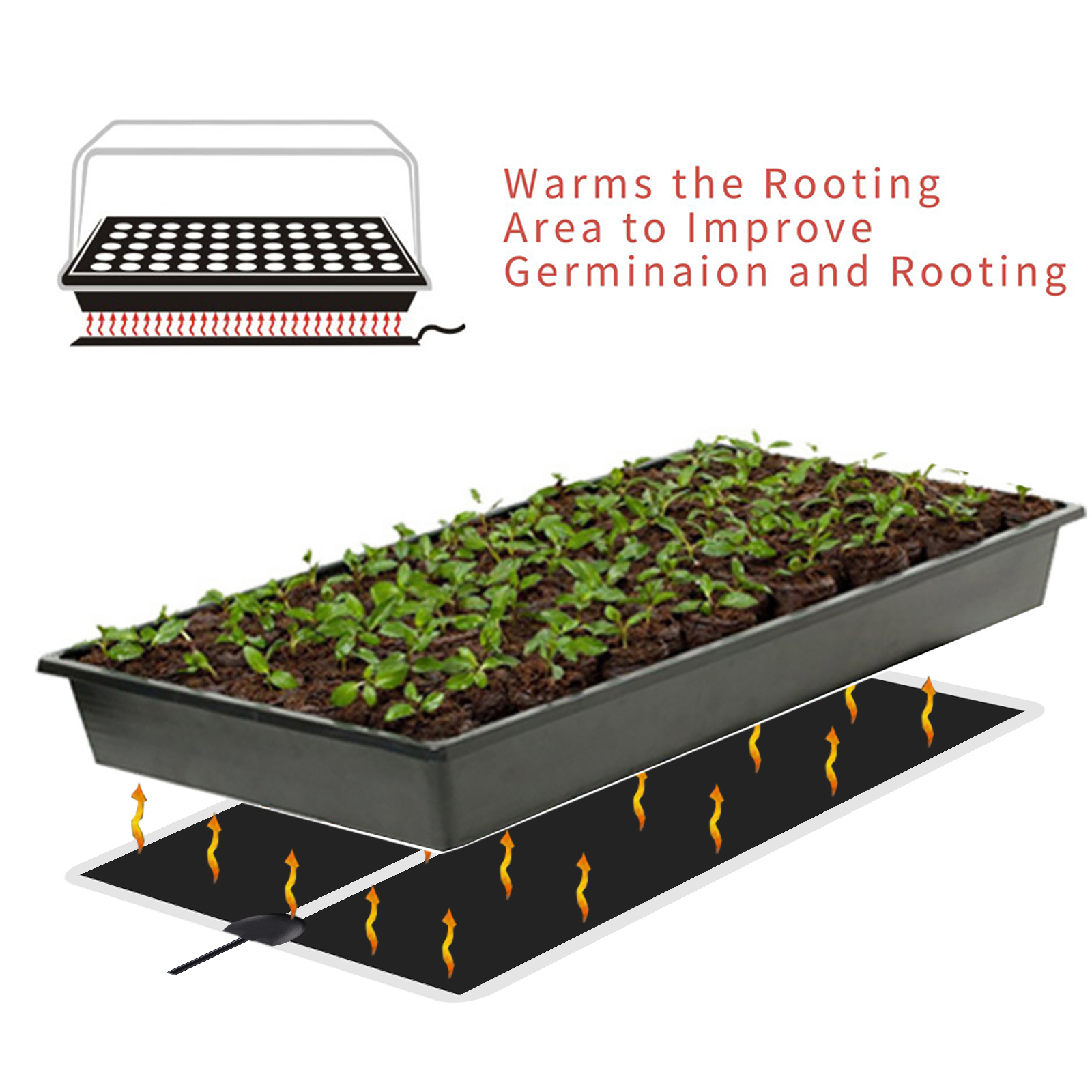 5~45W Seedling Heat Mat 220V~2 - Heat Mat Seedling บทวิจารณ์และราคา
