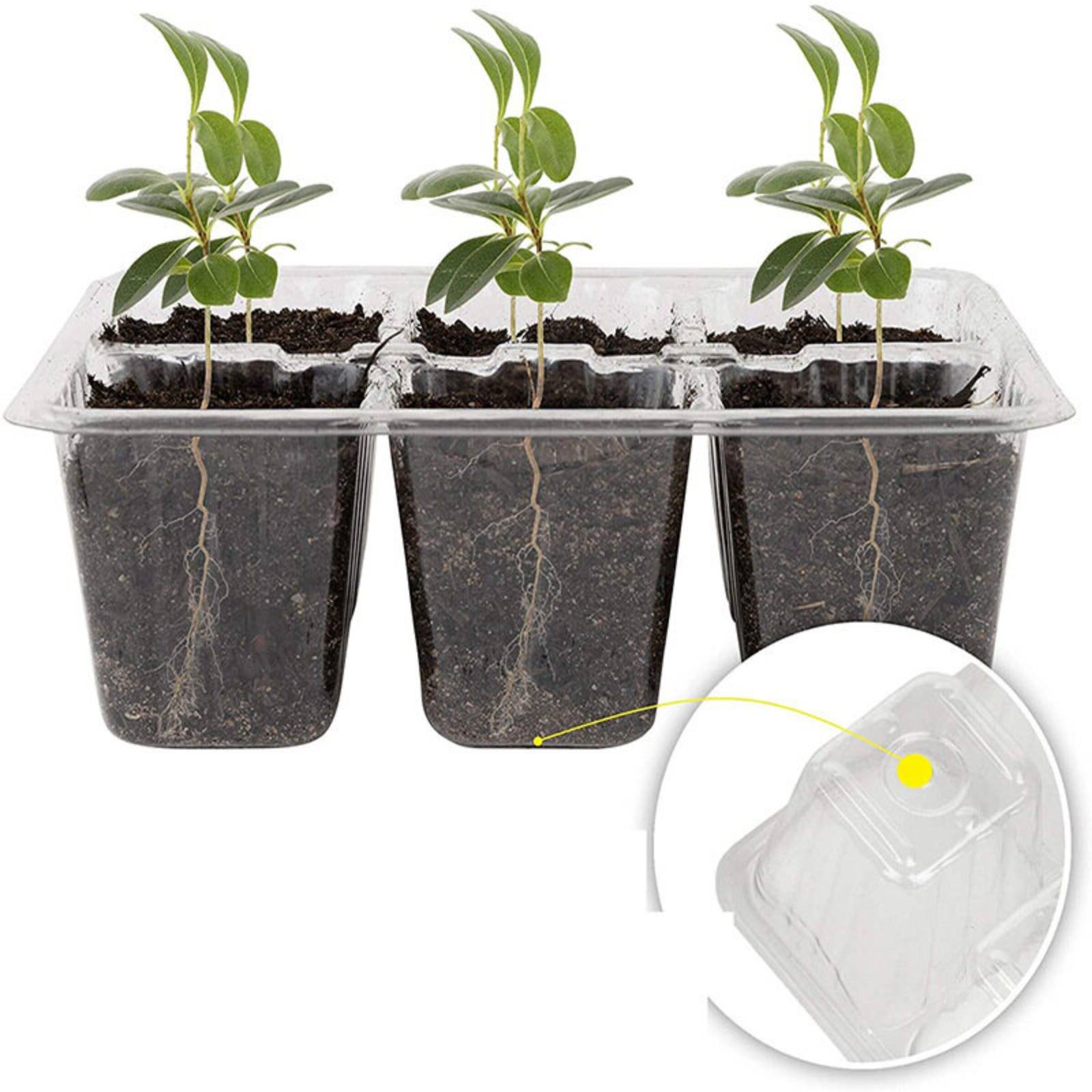 12 Compartment Germination Tra - Humidity Dome Kit บทวิจารณ์และราคา