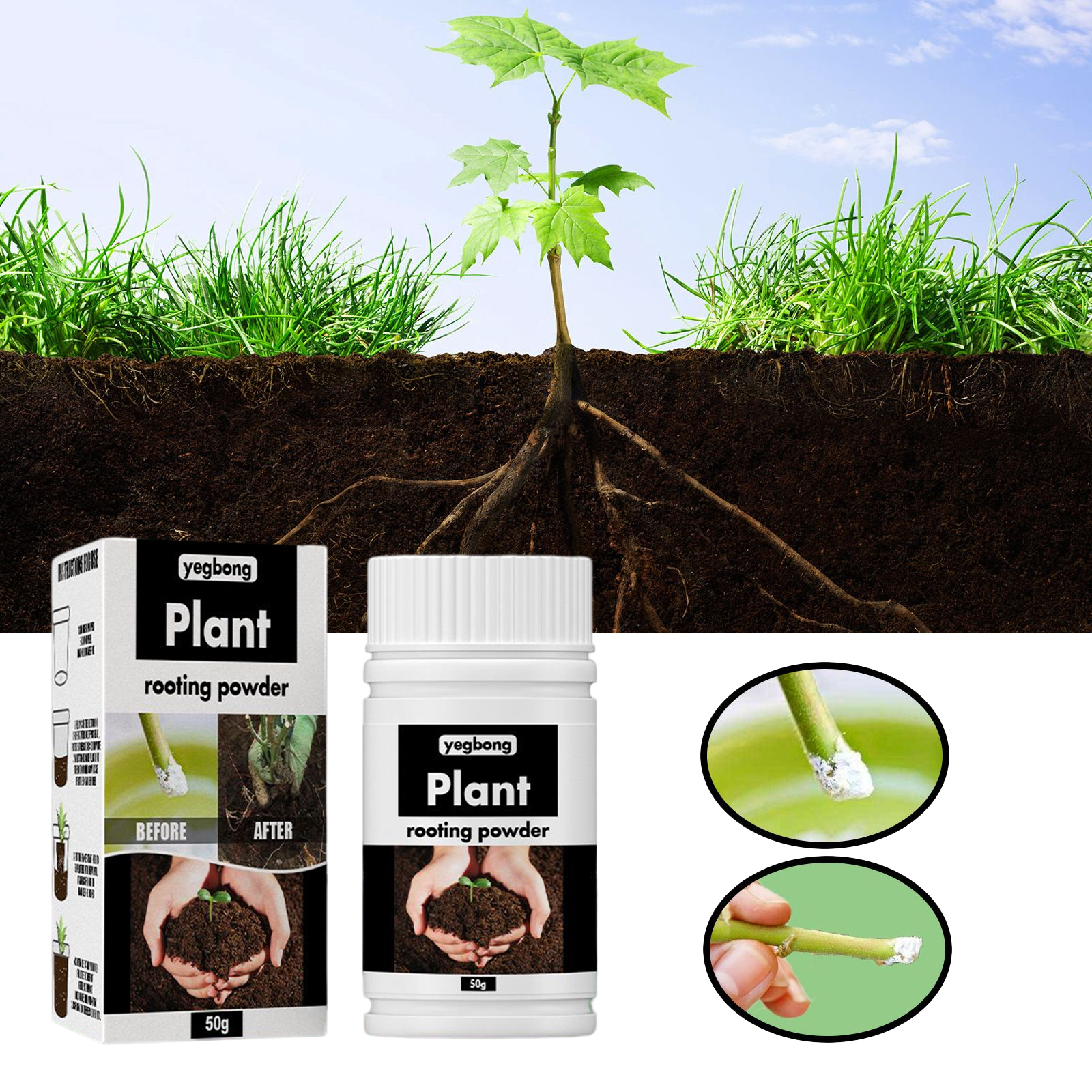 1Rare Plant Rooting Powder Pla - Rooting Hormone Powder บทวิจารณ์และราคา