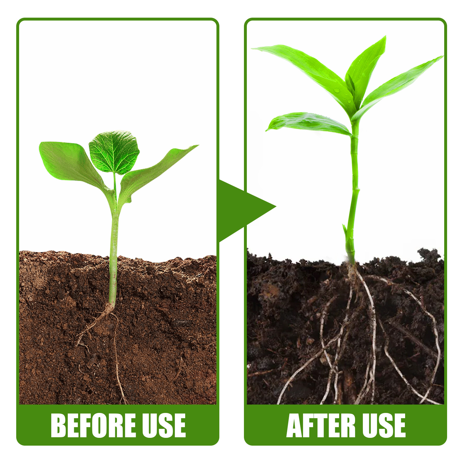1Rare Plant Rooting Powder Pla - Rooting Hormone Powder บทวิจารณ์และราคา