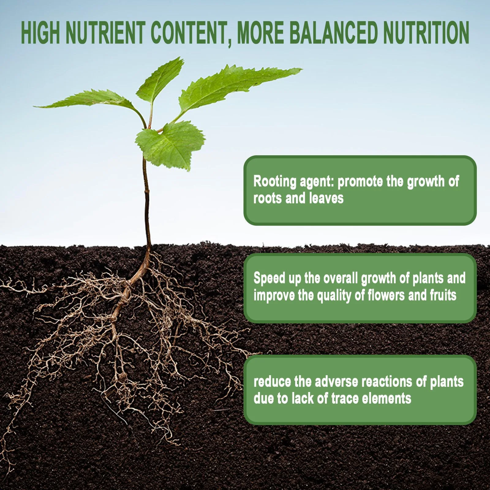 1Rare Plant Rooting Powder Pla - Rooting Hormone Powder บทวิจารณ์และราคา