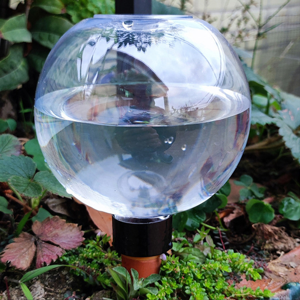 2PCS/4PCS Spherical Automatic  - Self Watering Insert บทวิจารณ์และราคา