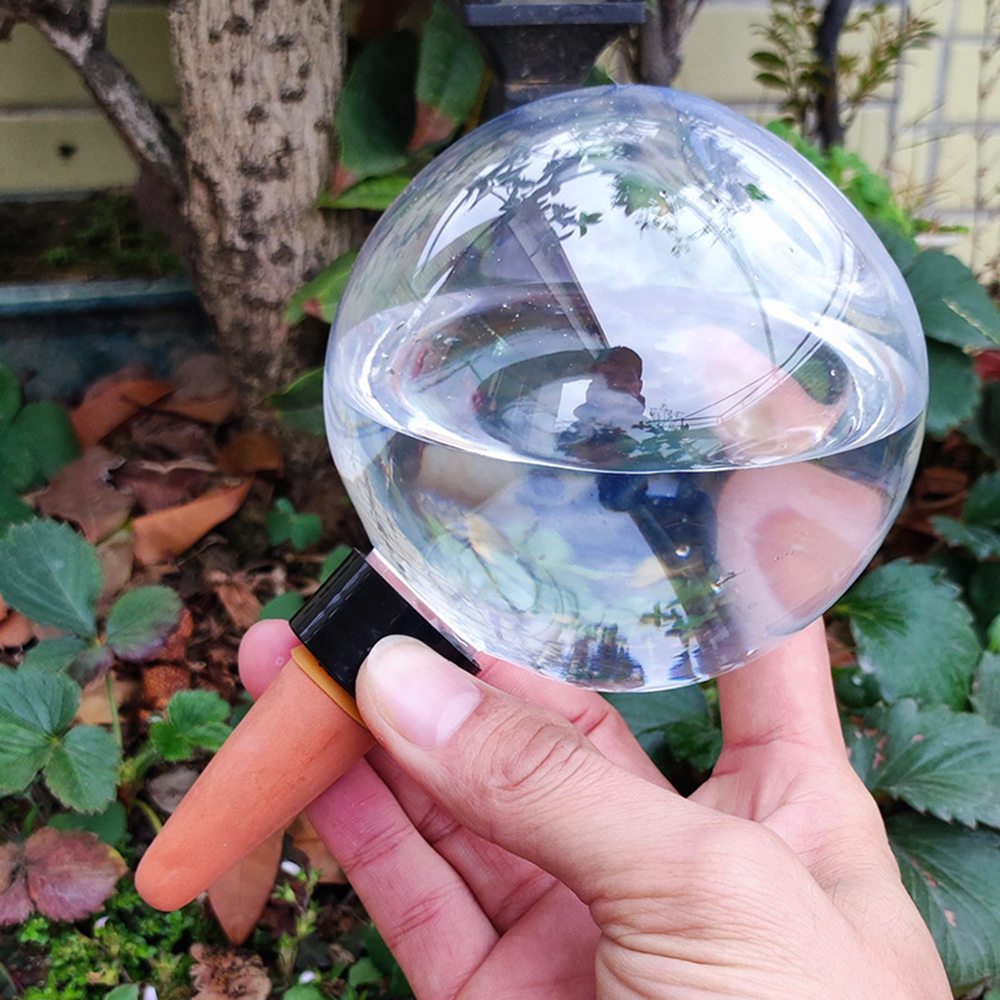 2PCS/4PCS Spherical Automatic  - Self Watering Insert บทวิจารณ์และราคา