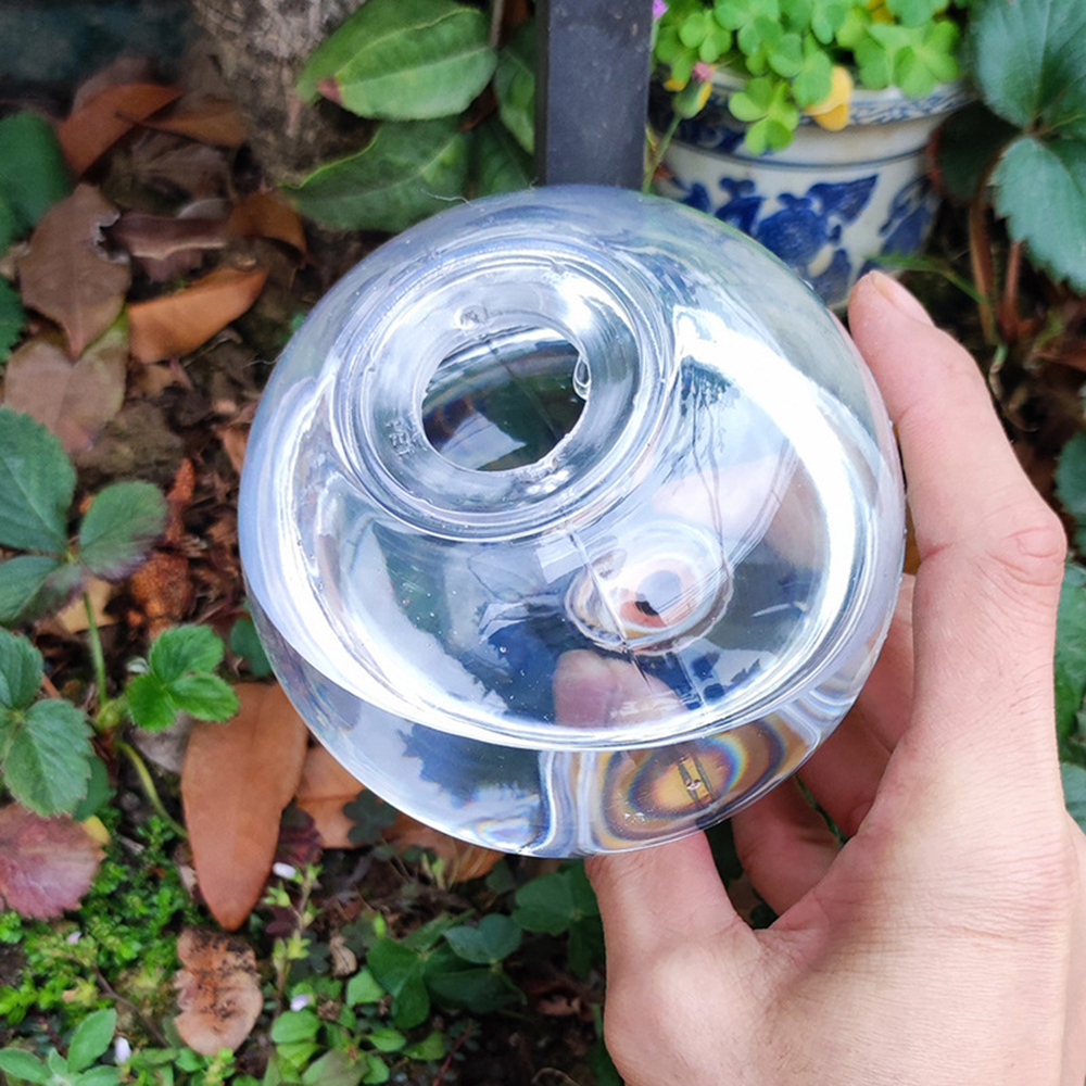 2PCS/4PCS Spherical Automatic  - Self Watering Insert บทวิจารณ์และราคา
