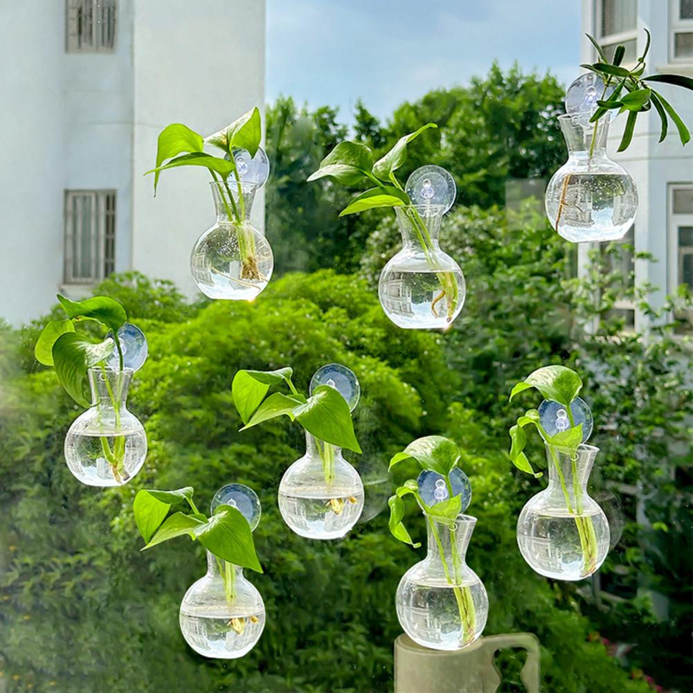 Window Planter Vase Window Pla - Propagation Station Vase บทวิจารณ์และราคา