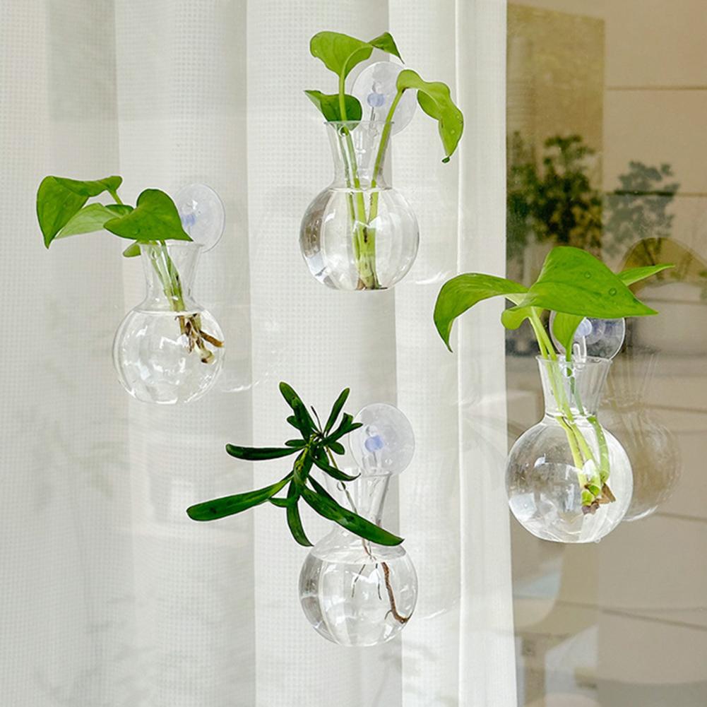Window Planter Vase Window Pla - Propagation Station Vase บทวิจารณ์และราคา