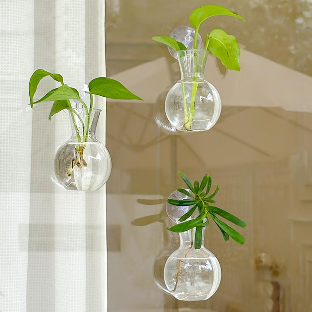 Window Planter Vase Window Pla - Propagation Station Vase บทวิจารณ์และราคา