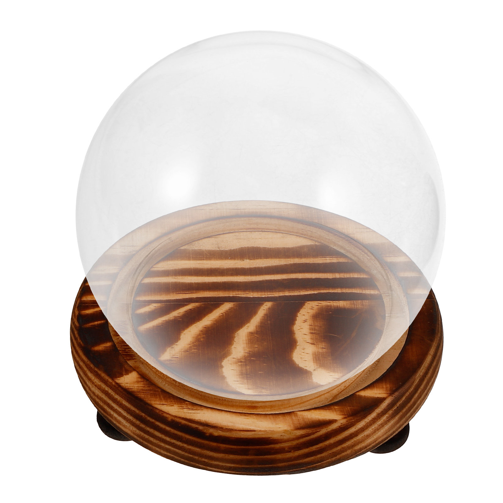 Glass Dome Display Case with W - Plastic Dome Clear บทวิจารณ์และราคา