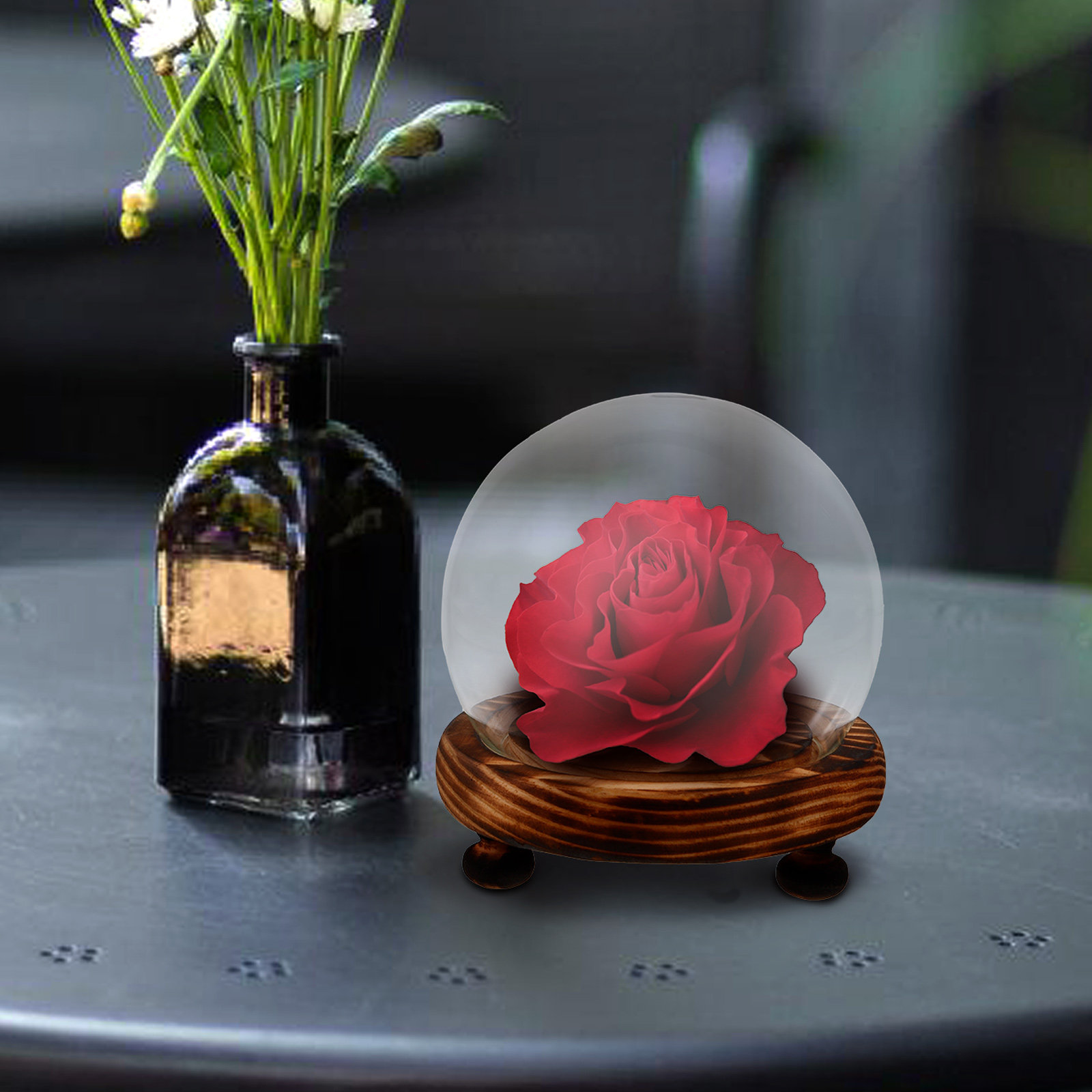 Glass Dome Display Case with W - Plastic Dome Clear บทวิจารณ์และราคา