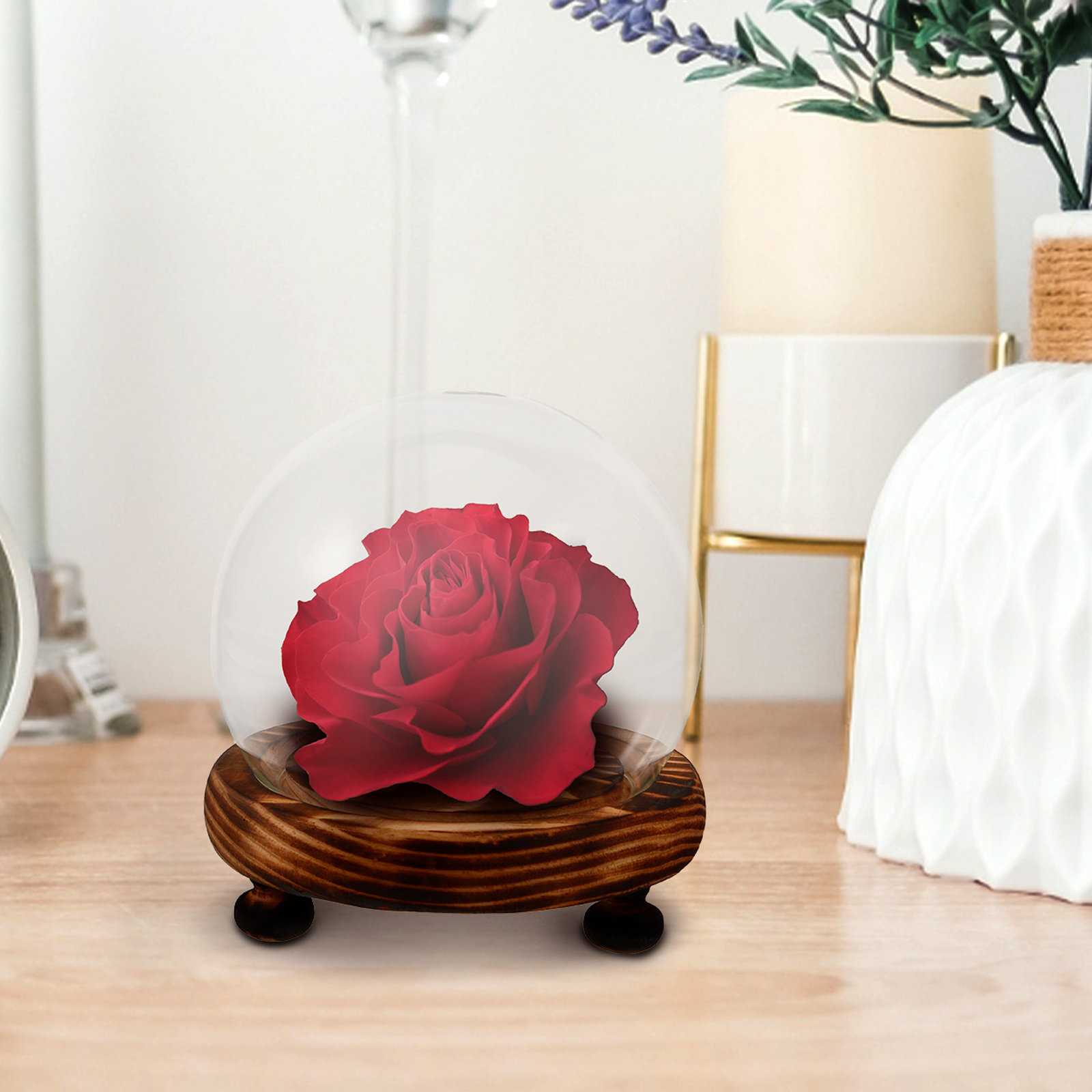 Glass Dome Display Case with W - Plastic Dome Clear บทวิจารณ์และราคา