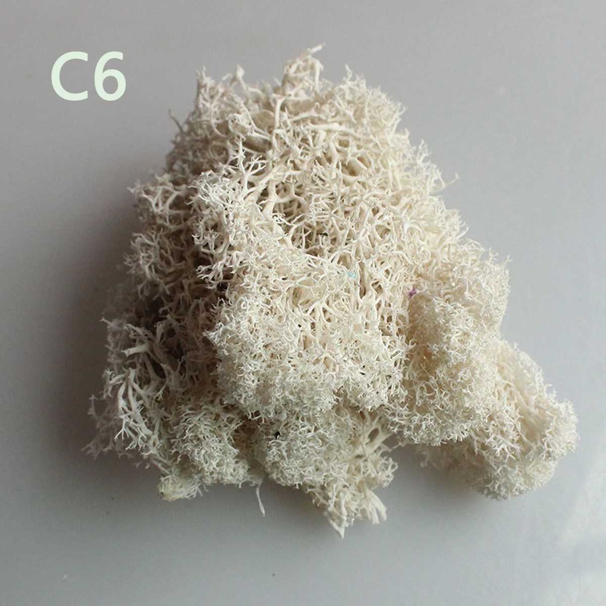 Wedding Accessories Wedding Fl - Sphagnum Moss Dry บทวิจารณ์และราคา