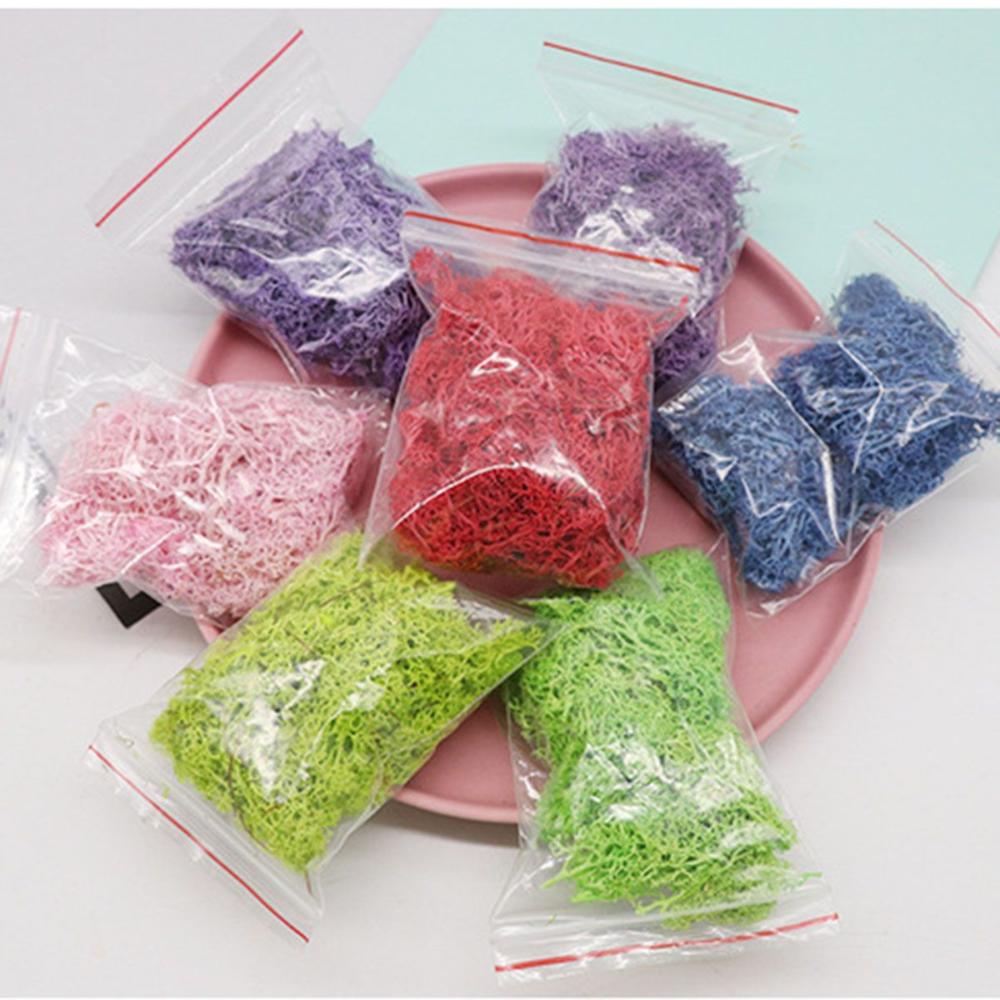 Wedding Accessories Wedding Fl - Sphagnum Moss Dry บทวิจารณ์และราคา