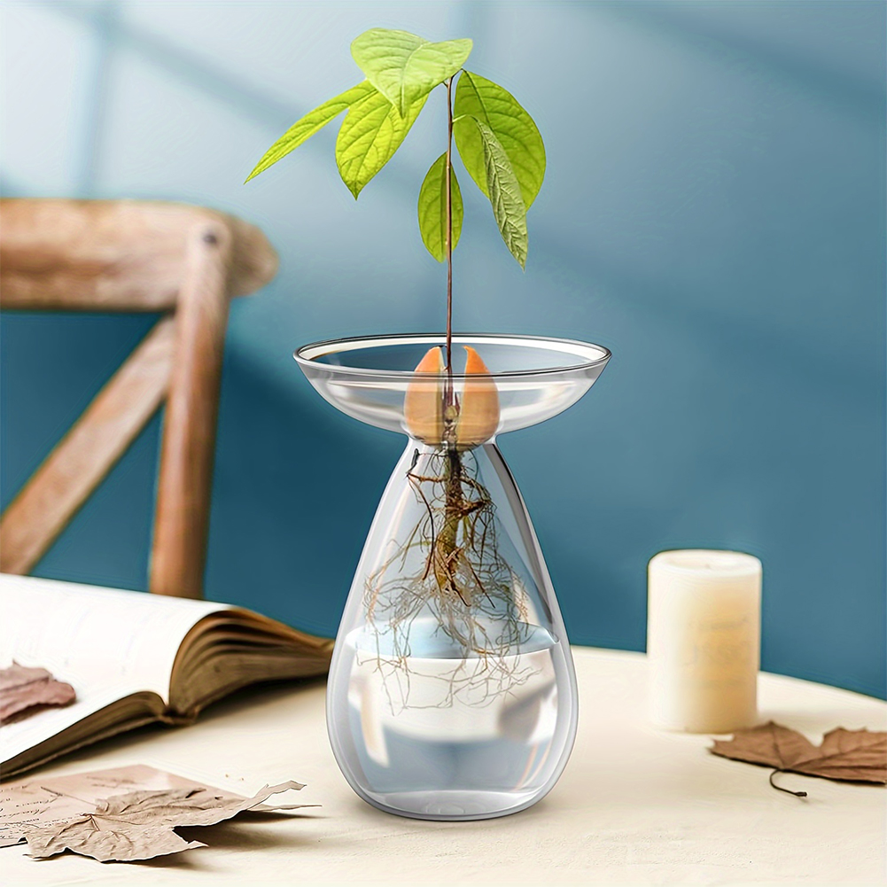 Avocado Seed Starter Hydroponi - Propagation Station Vase บทวิจารณ์และราคา