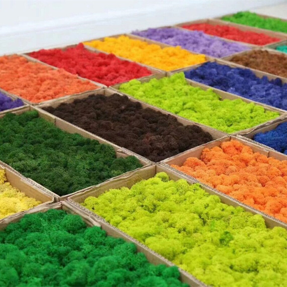 Artificial Green Plants Mini L - Sphagnum Moss Dry บทวิจารณ์และราคา