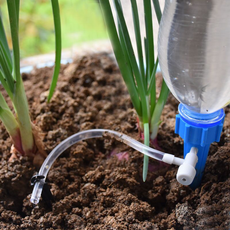 Drip Irrigation Automatic Plan - Self Watering Insert บทวิจารณ์และราคา