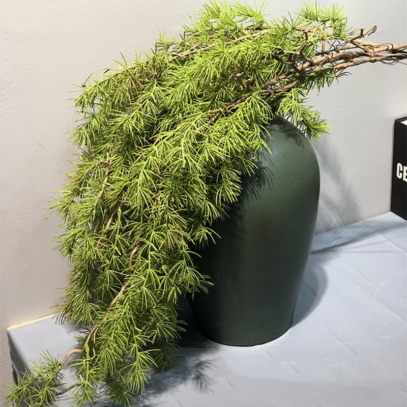 New Pine Needle Vine Wall Hang - Sphagnum Moss Dry บทวิจารณ์และราคา