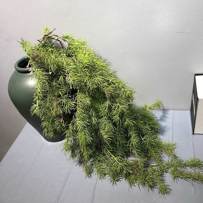 New Pine Needle Vine Wall Hang - Sphagnum Moss Dry บทวิจารณ์และราคา