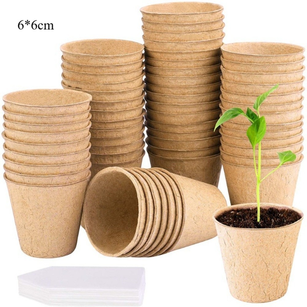 50PCS Biodegradable Plant Star - Peat Pellet Tray บทวิจารณ์และราคา