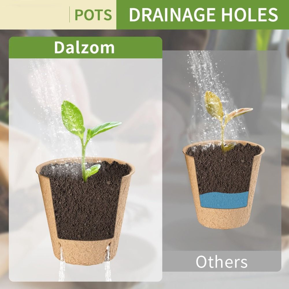 50PCS Biodegradable Plant Star - Peat Pellet Tray บทวิจารณ์และราคา