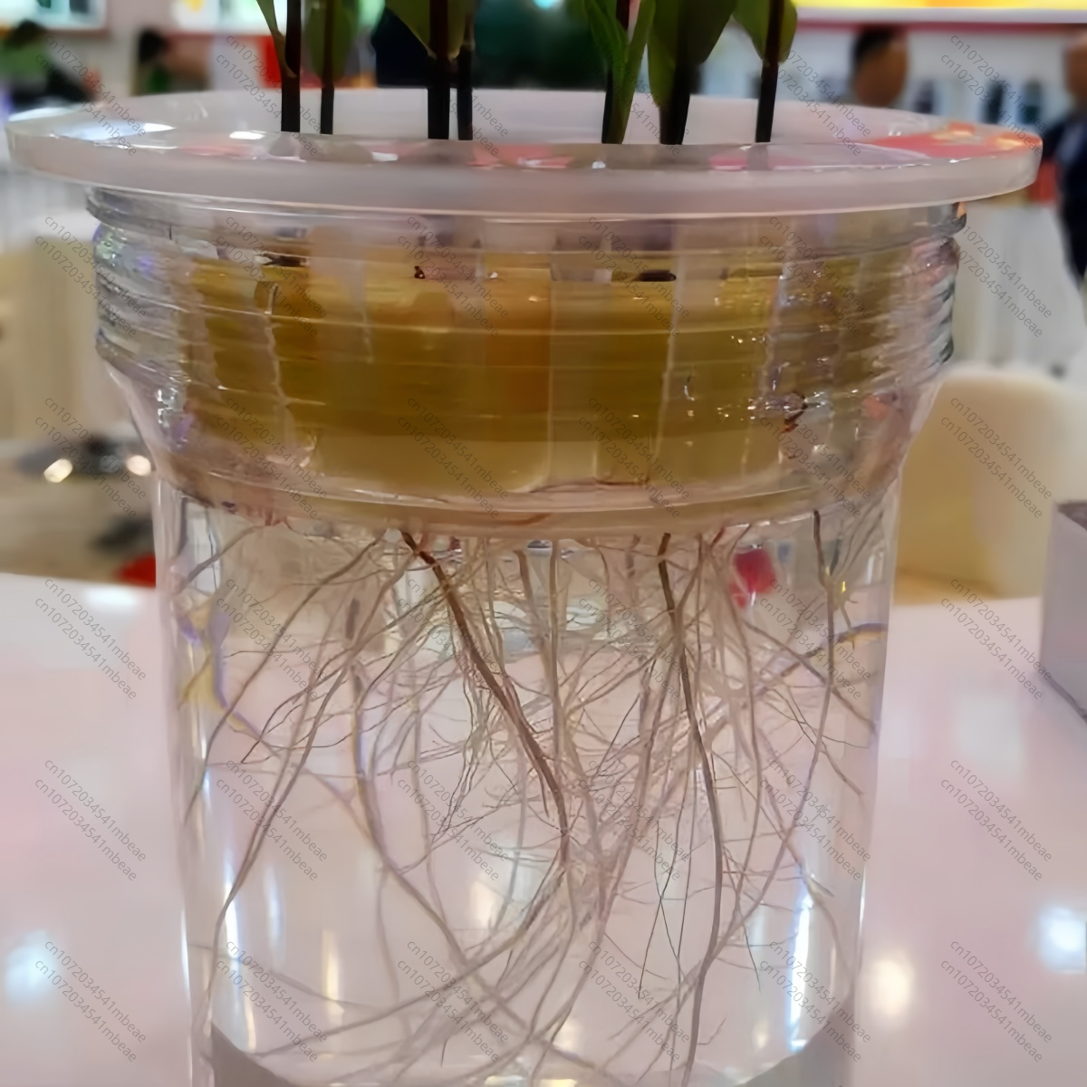 NAA 98% TC 1-Naphthaleneacetic - Rooting Hormone Powder บทวิจารณ์และราคา