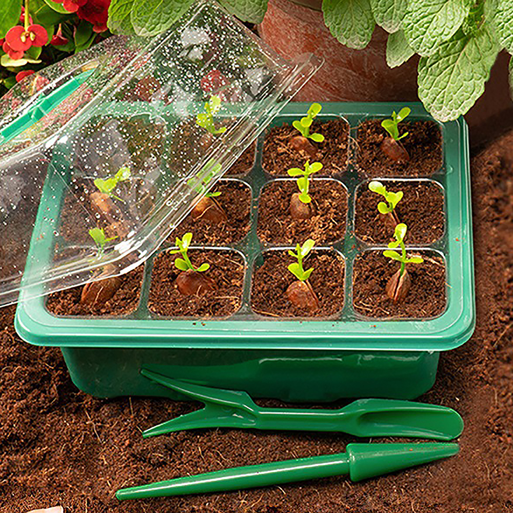 Seed Starter Trays with Grow L - Humidity Dome Kit บทวิจารณ์และราคา
