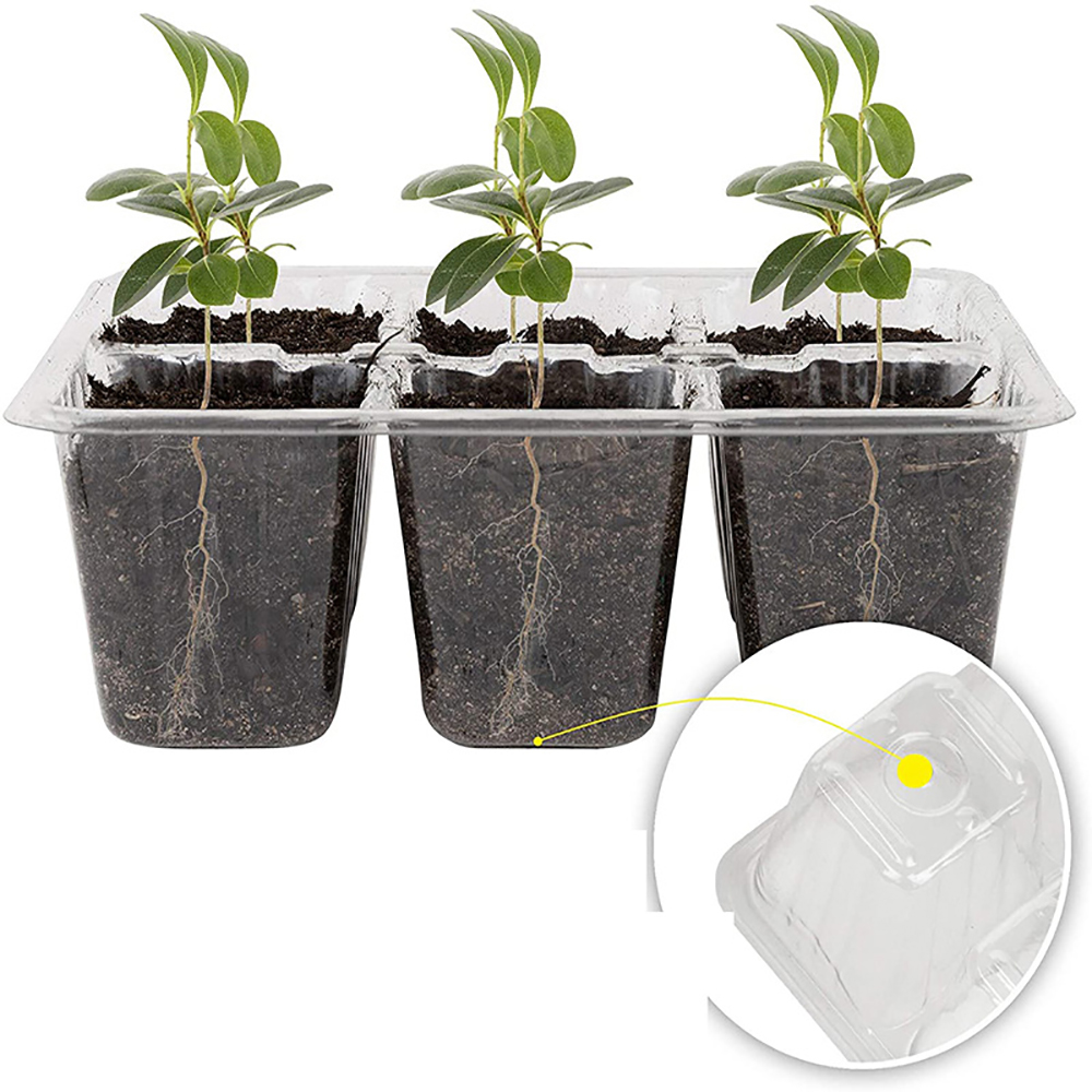 Seed Starter Trays with Grow L - Humidity Dome Kit บทวิจารณ์และราคา