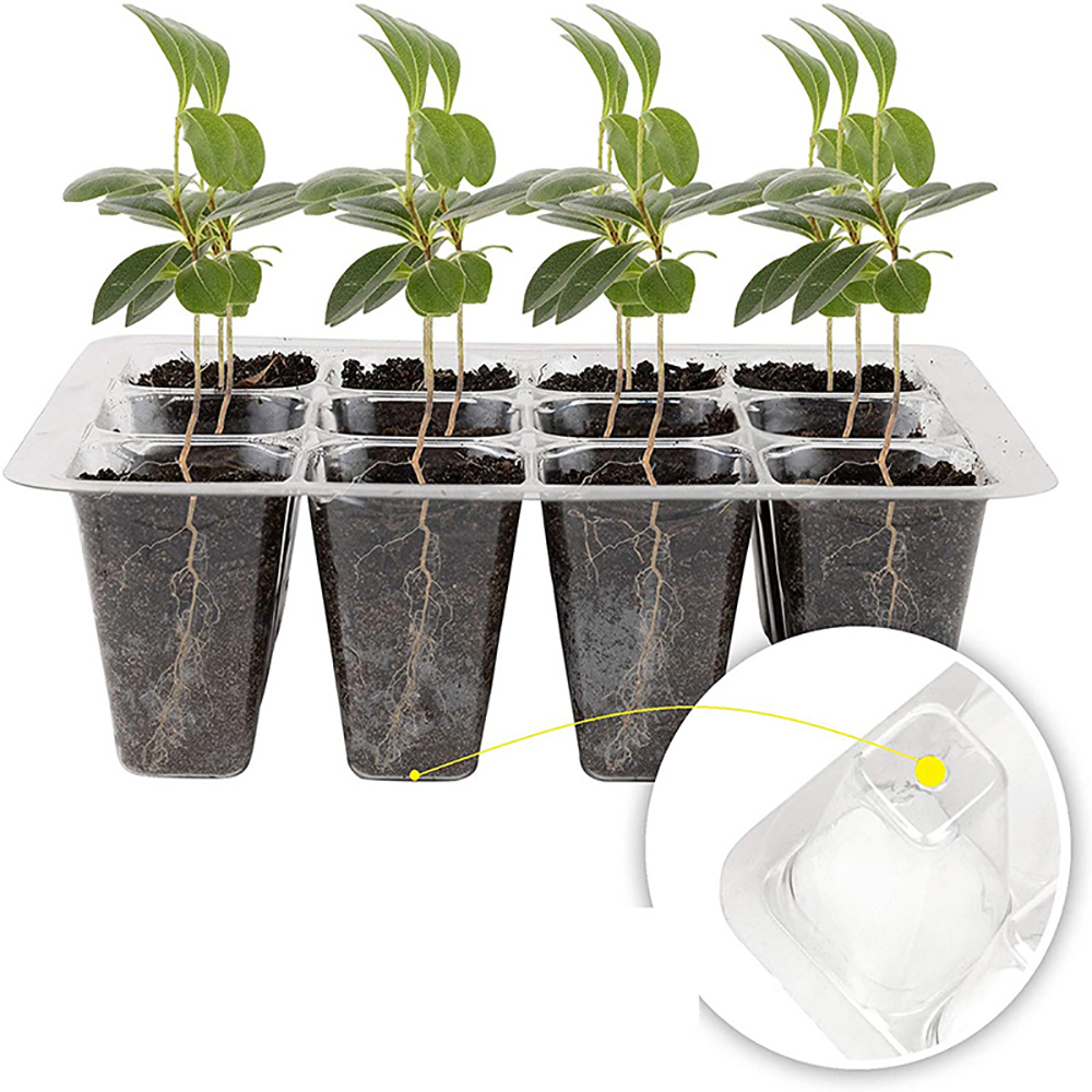 Seed Starter Trays with Grow L - Humidity Dome Kit บทวิจารณ์และราคา
