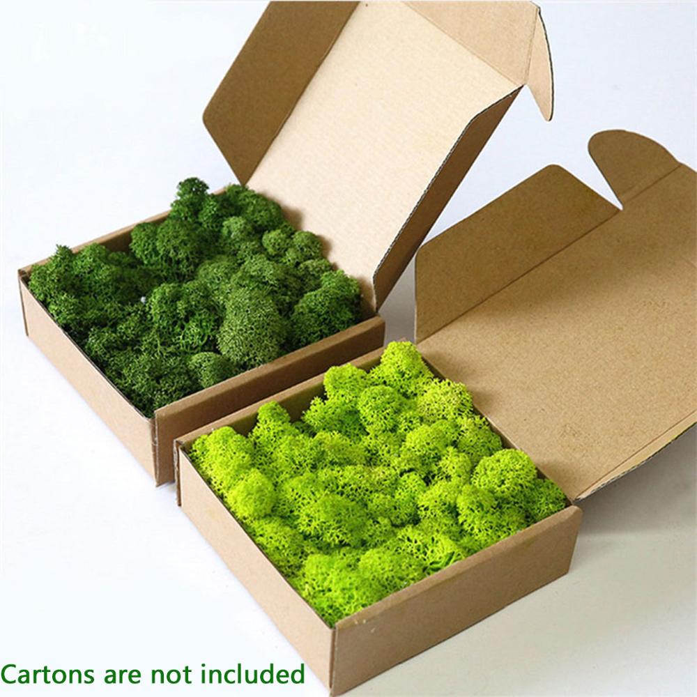 Artificial Plant Eternal Life  - Sphagnum Moss Dry บทวิจารณ์และราคา