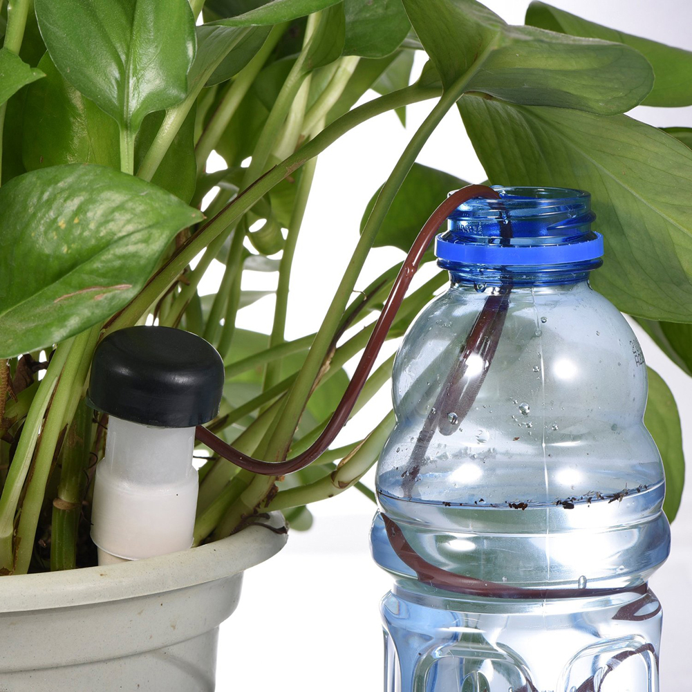 8-24Pcs Self-Watering Probes A - Self Watering Insert บทวิจารณ์และราคา