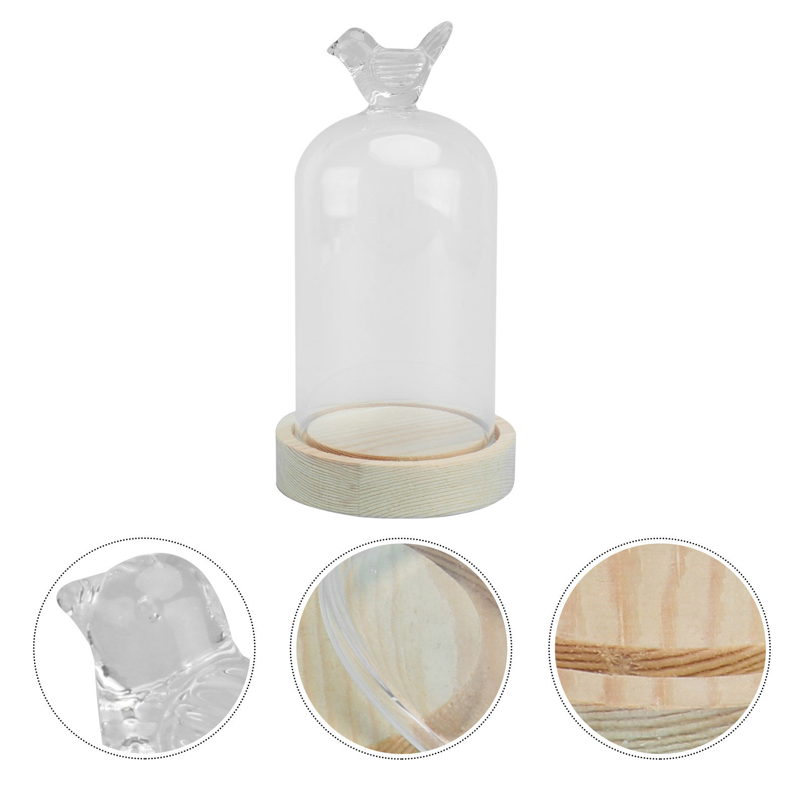 1Pcs Mini Glass Dome Cover Bir - Plastic Dome Clear บทวิจารณ์และราคา