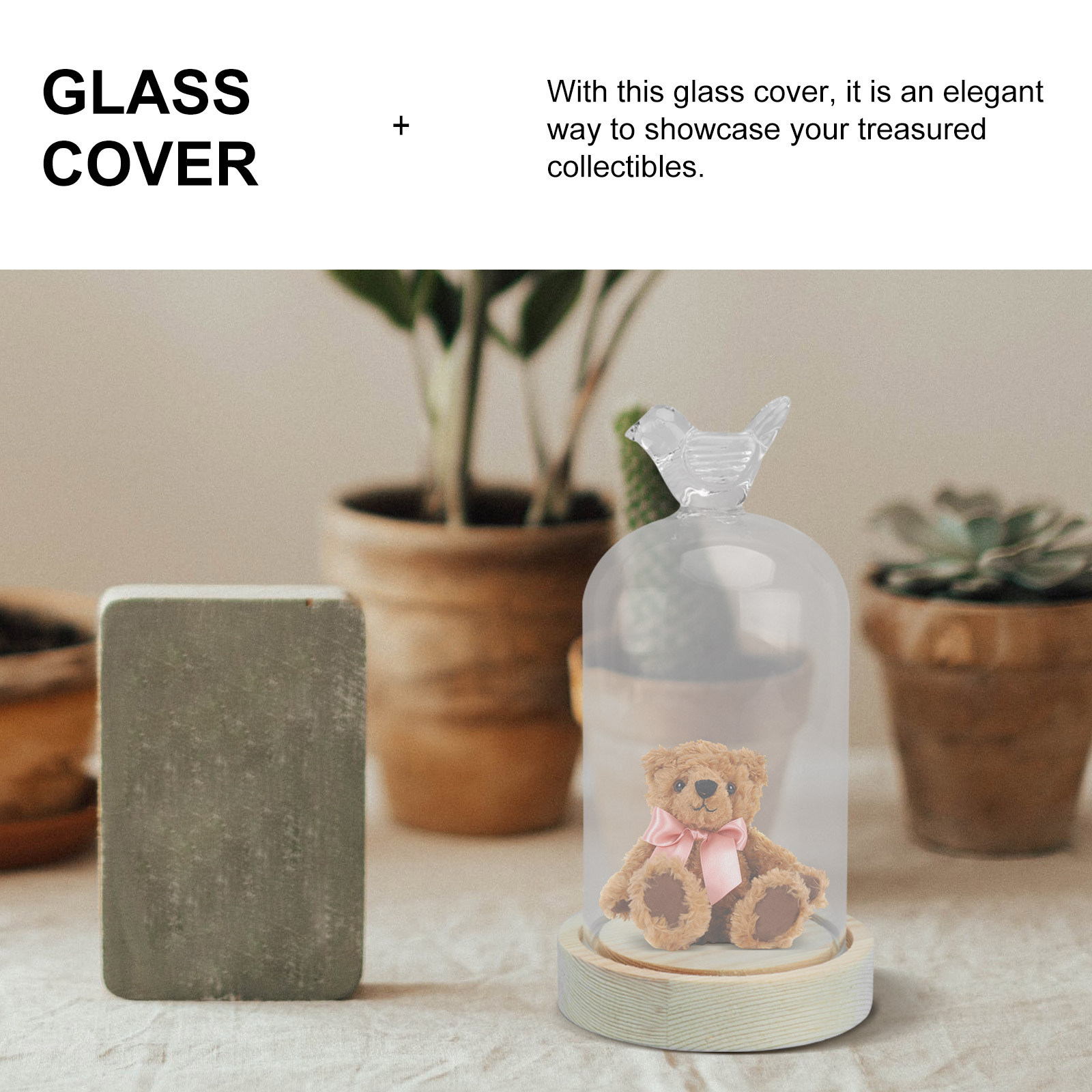 1Pcs Mini Glass Dome Cover Bir - Plastic Dome Clear บทวิจารณ์และราคา