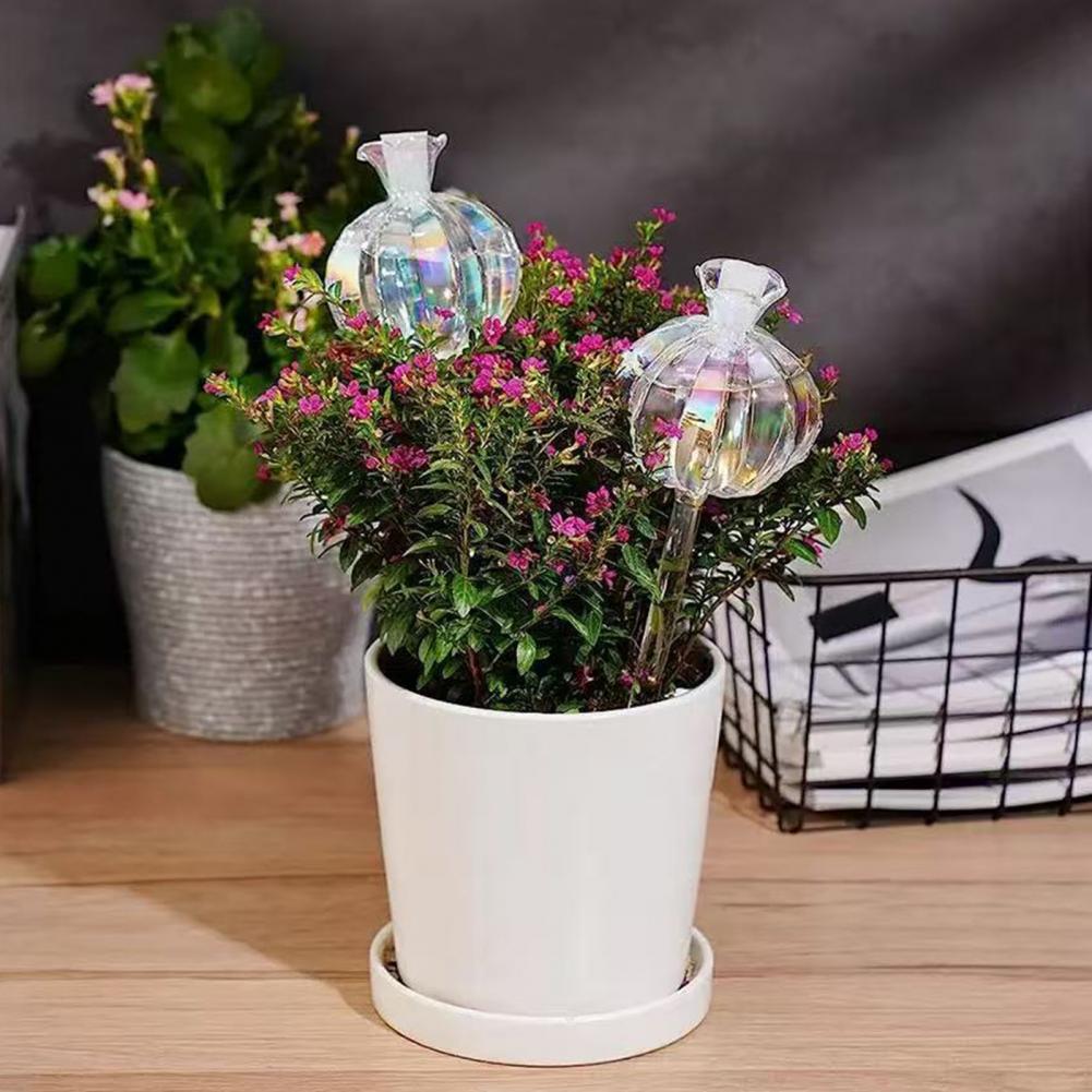 24cm Cactus Self Watering Bulb - Self Watering Insert บทวิจารณ์และราคา