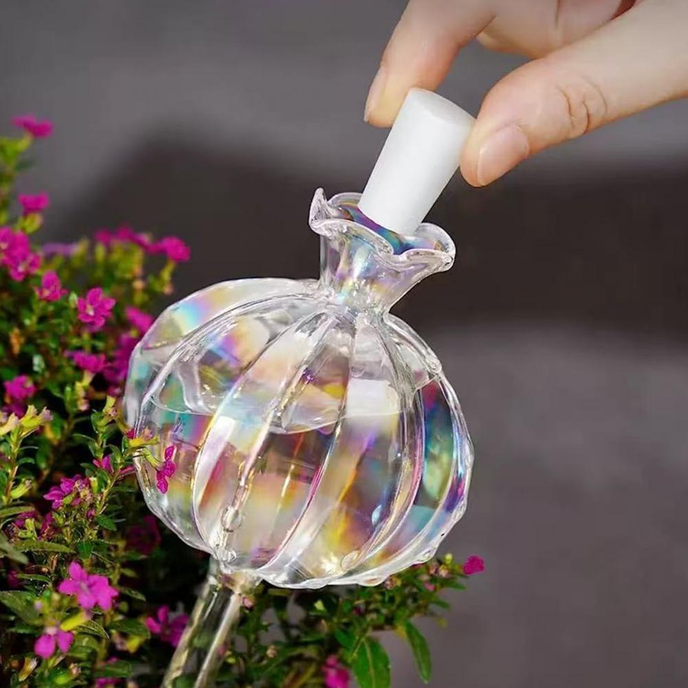 24cm Cactus Self Watering Bulb - Self Watering Insert บทวิจารณ์และราคา