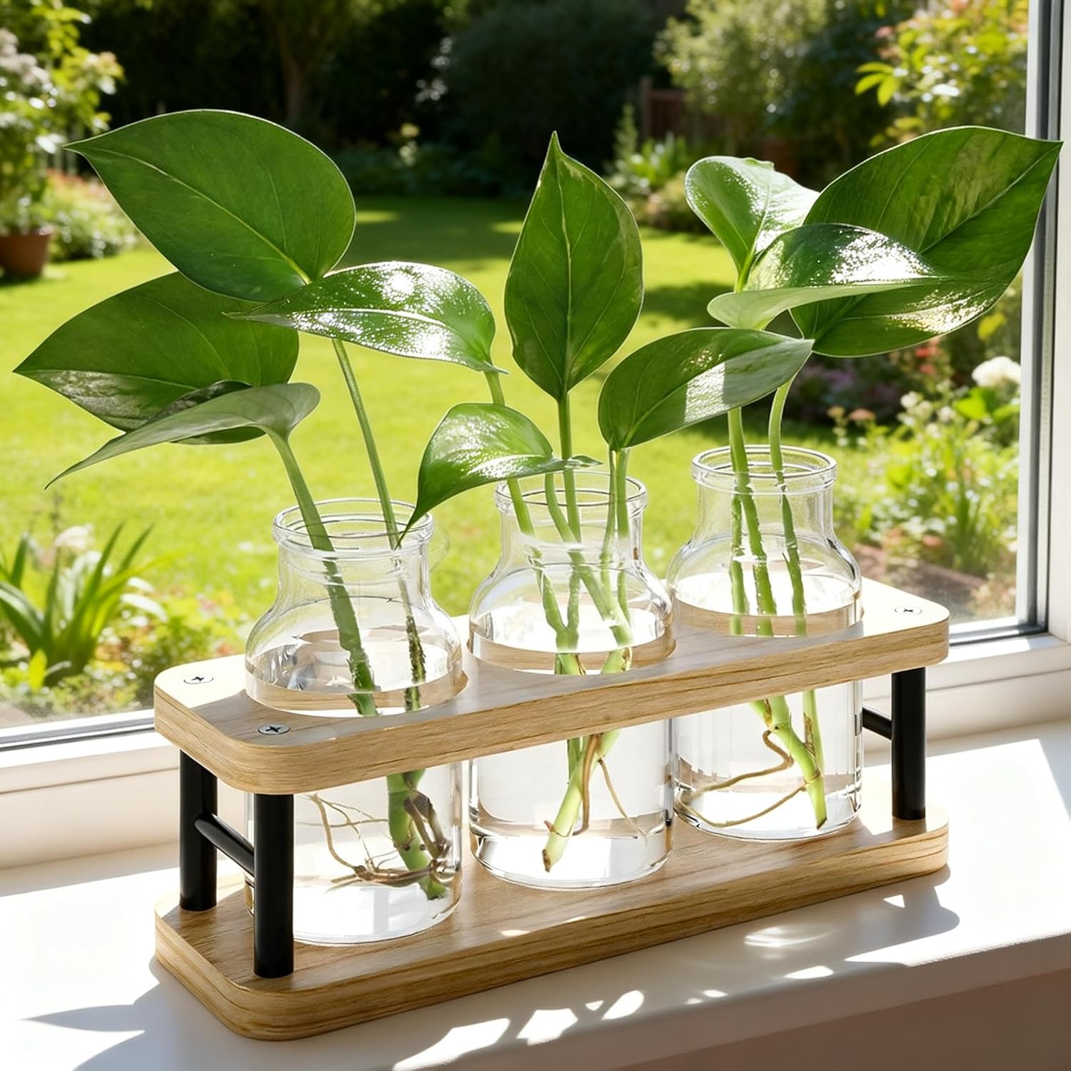 Propagation Station with Woode - Propagation Station Vase บทวิจารณ์และราคา