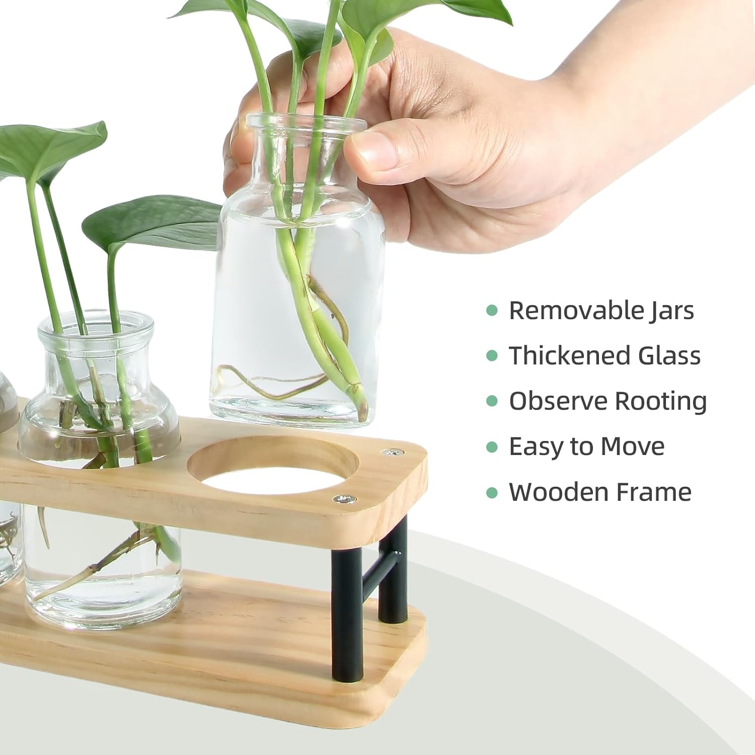 Propagation Station with Woode - Propagation Station Vase บทวิจารณ์และราคา