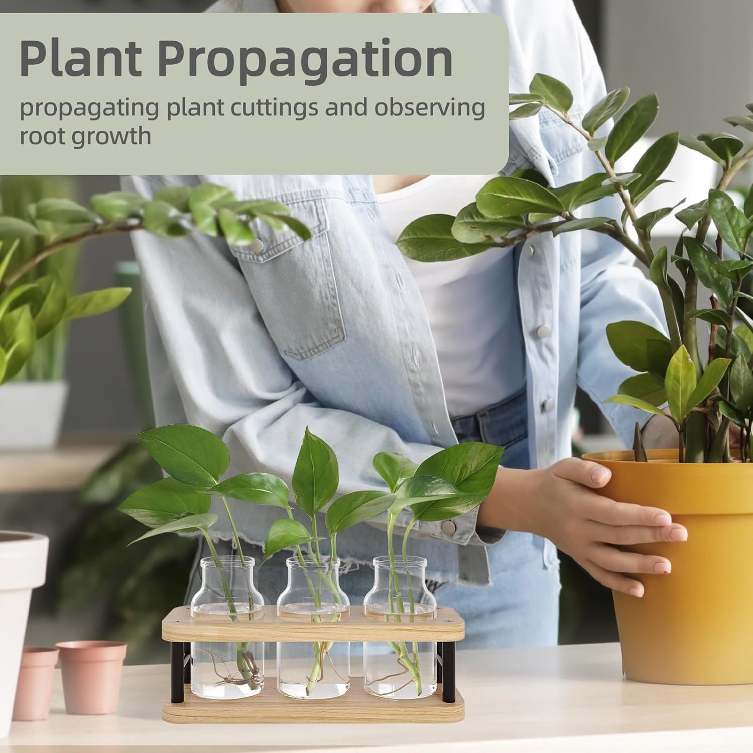 Propagation Station with Woode - Propagation Station Vase บทวิจารณ์และราคา