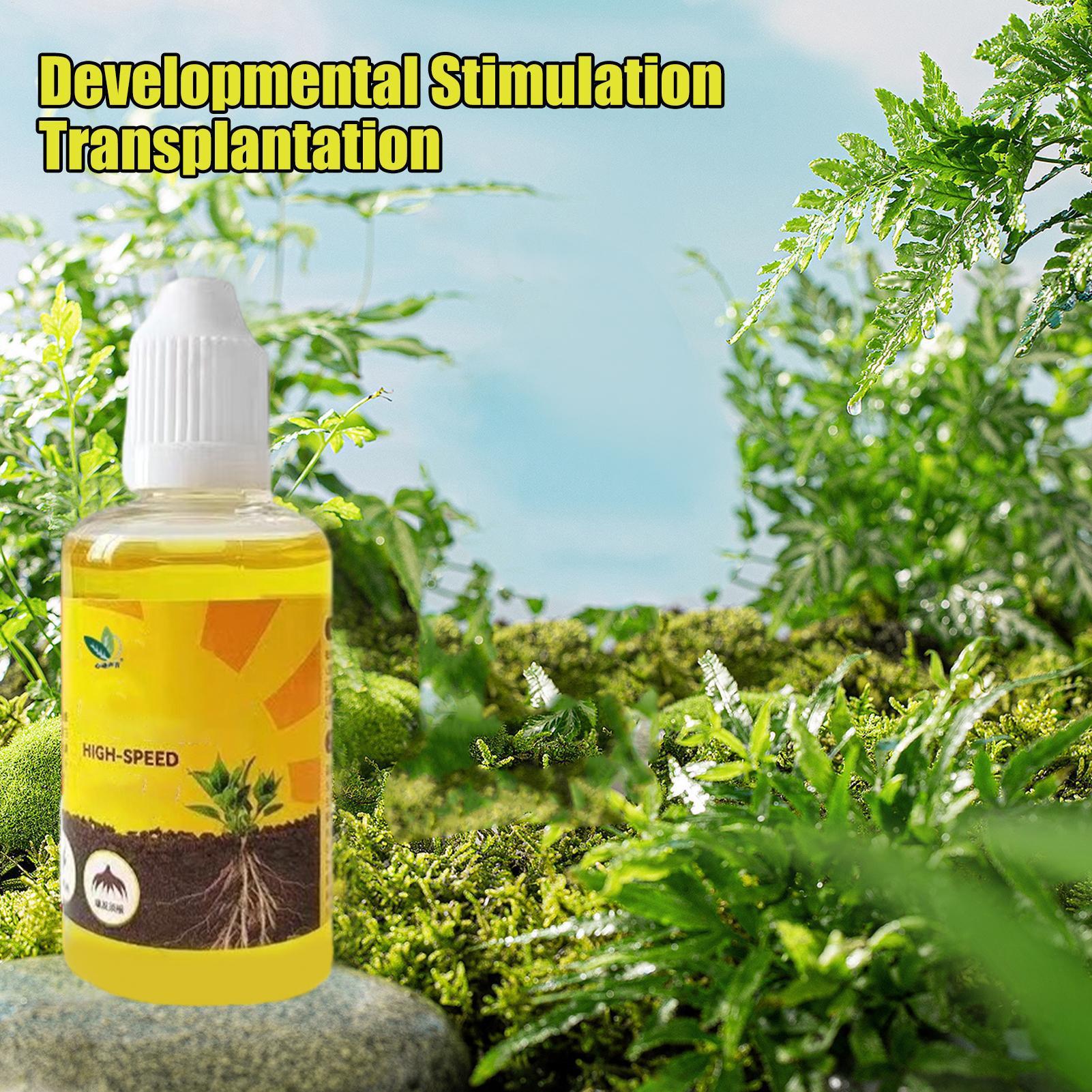 50ml Plant Rooting Stimulator  - Root Stimulator Liquid บทวิจารณ์และราคา