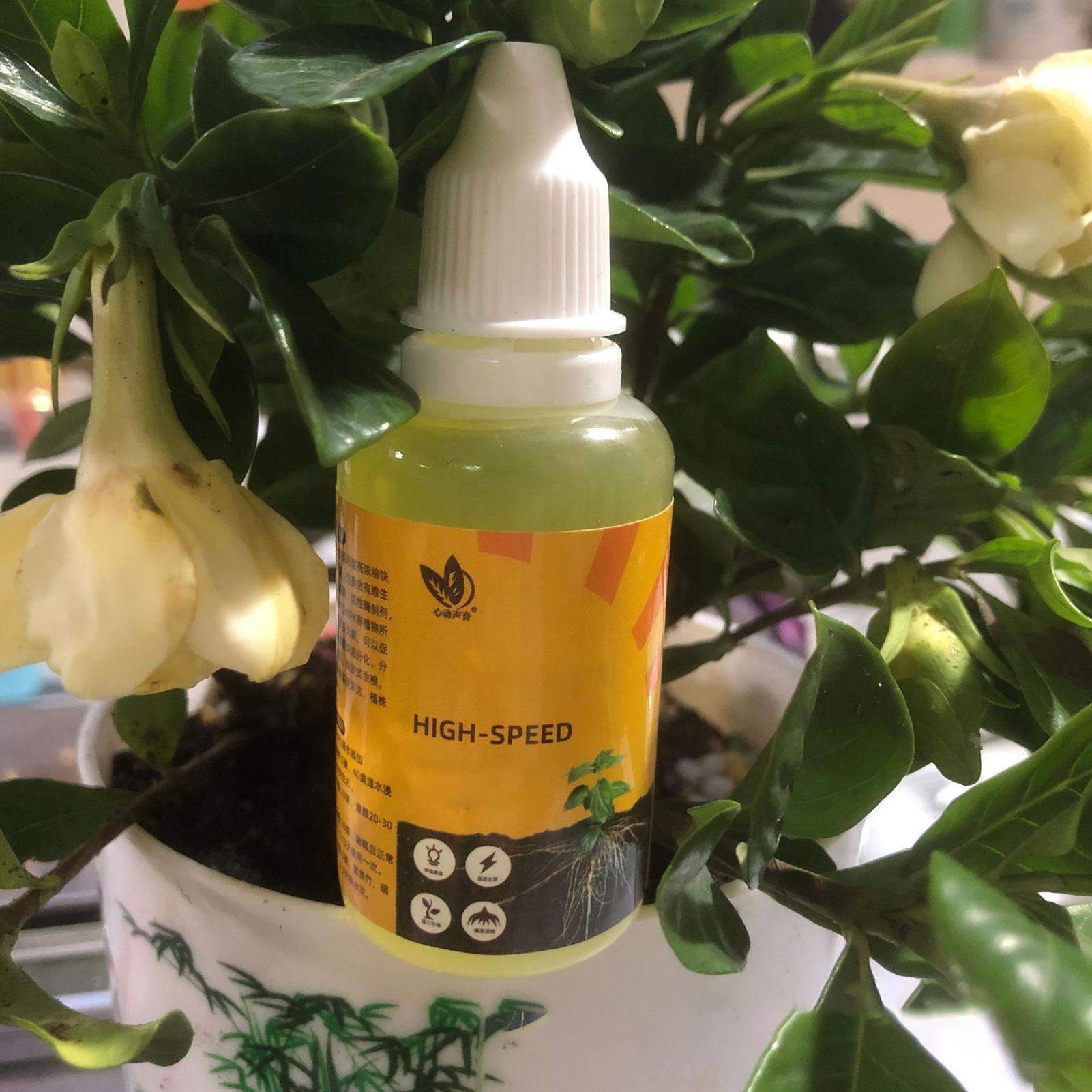 50ml Plant Rooting Stimulator  - Root Stimulator Liquid บทวิจารณ์และราคา