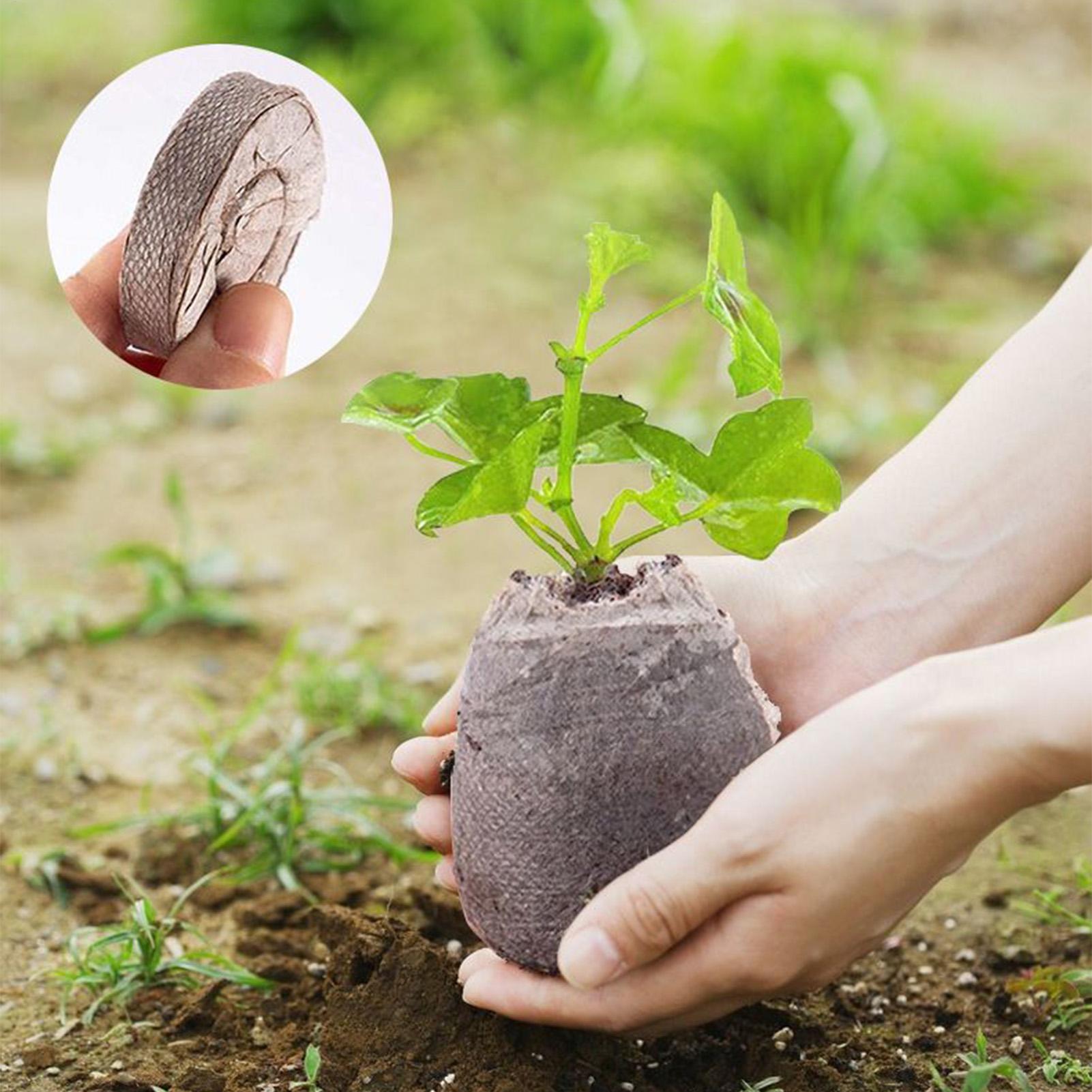 100 Piece Potting Mix Trays 30 - Peat Pellet Tray บทวิจารณ์และราคา