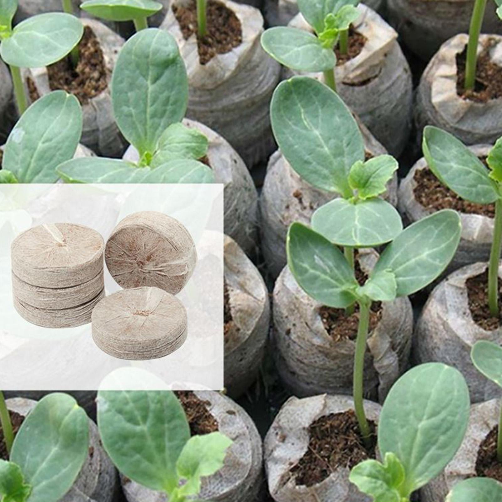 100 Piece Potting Mix Trays 30 - Peat Pellet Tray บทวิจารณ์และราคา