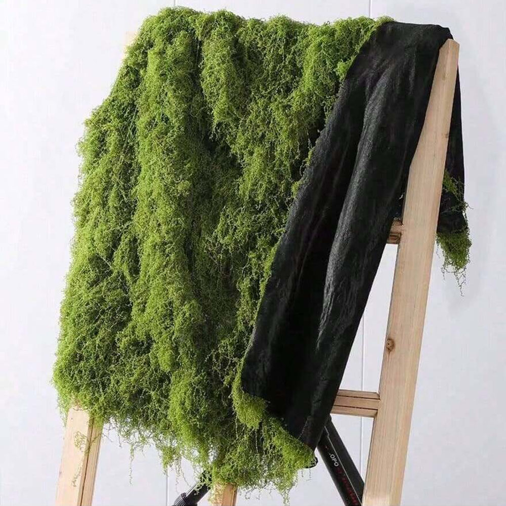 1*1m Fake Moss DIY Crafts Gras - Sphagnum Moss Dry บทวิจารณ์และราคา
